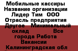 Мобильные кассиры › Название организации ­ Лидер Тим, ООО › Отрасль предприятия ­ Другое › Минимальный оклад ­ 50 000 - Все города Работа » Вакансии   . Калининградская обл.,Светловский городской округ 